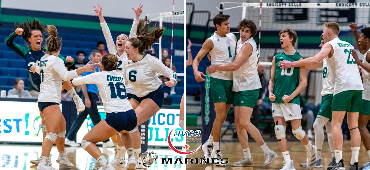 Split image of the women's and men's volleyball teams celebrating winning big points.