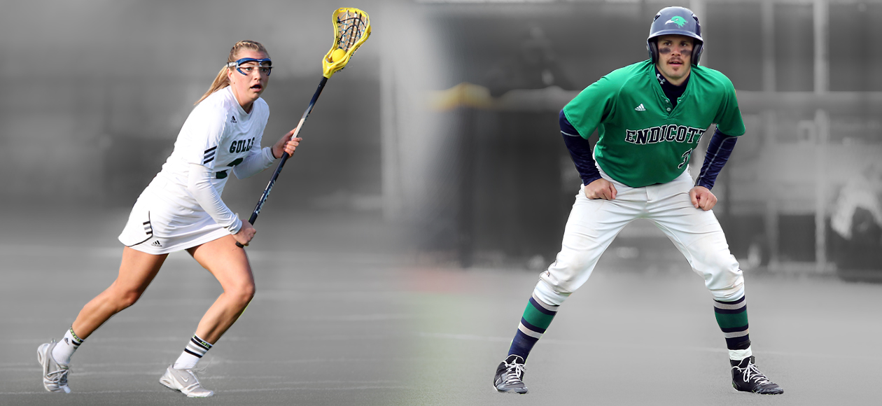 Two Gulls Claim ECAC Honors After CCC Tournament Efforts