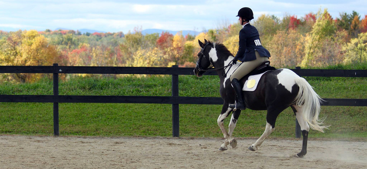 Equestrian Takes Fourth At Colby-Sawyer Show