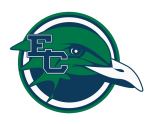 Endicott launches new streaming multimedia player