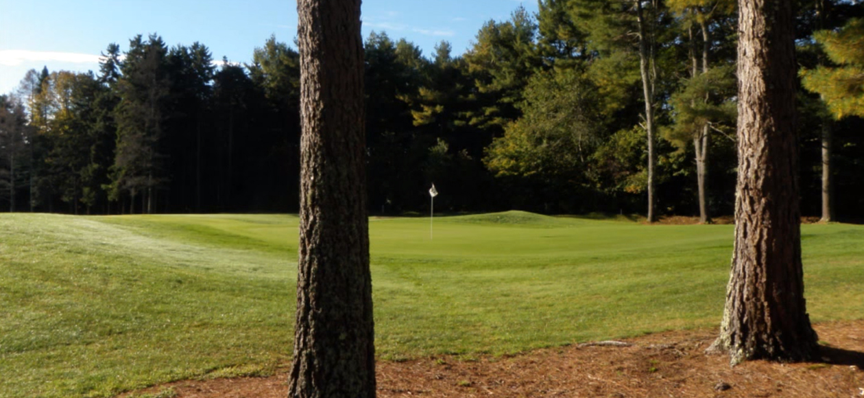 An image through the woods of a green at the Brunswick Golf Club.