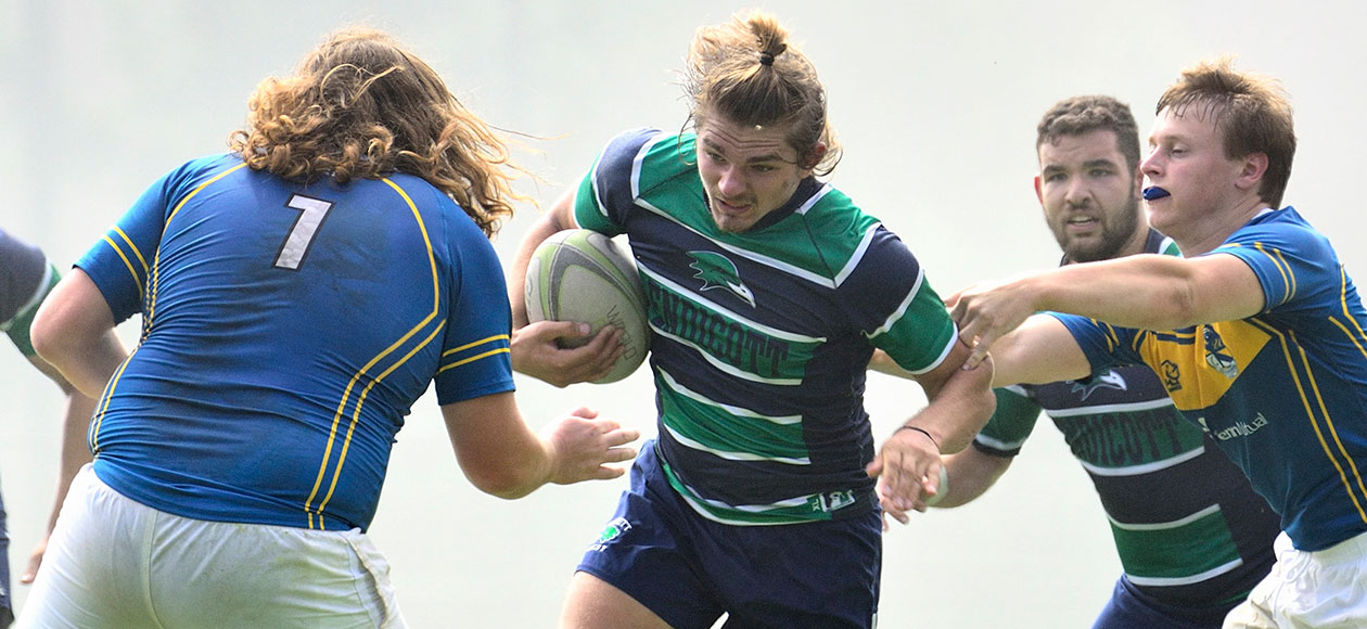 Men's rugby action photo.