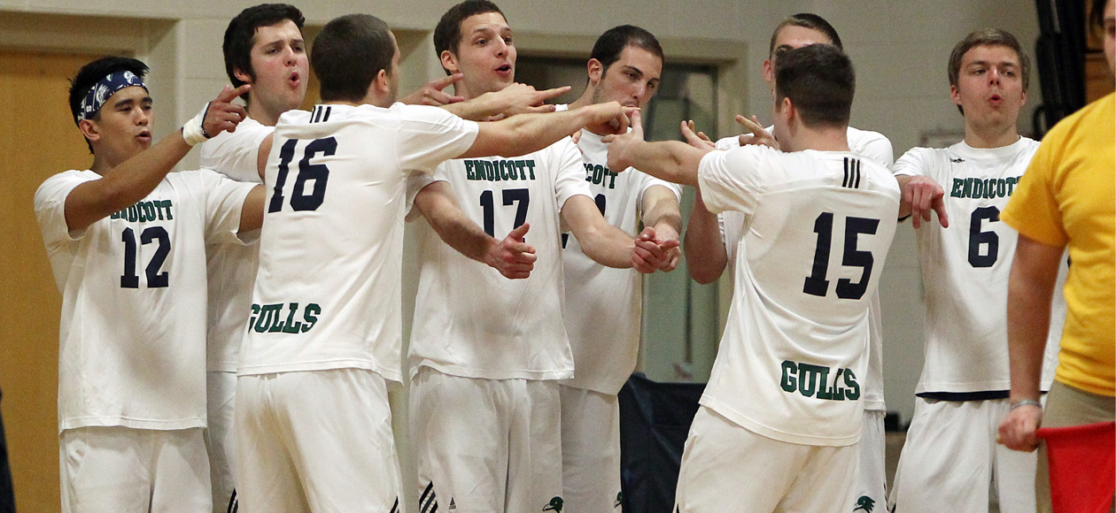 Official NECC Tournament Bracket Released; Gulls Look to Defend Title