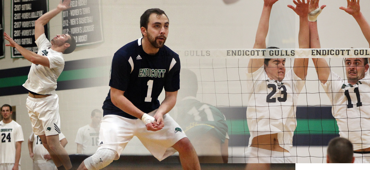 Defensive Player and Coach of the Year Honors Headline Endicott Volleyball NECC Awards
