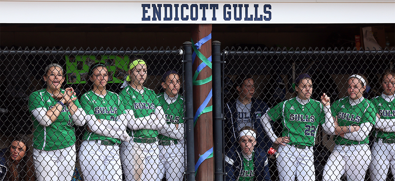 The Endicott softball team stands in the dugout in between innings.