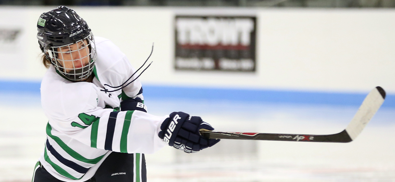 CHC SEMIFINALS: No. 2 Endicott Takes On No. 3 Morrisville State This Saturday