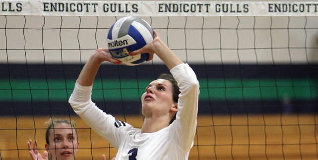 Endicott Falls to Wellesley in Four in Front of Animated Crowd