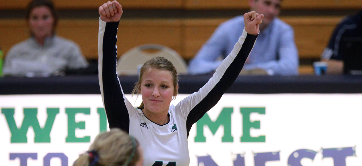 Endicott Advances to CCC Semifinals with 3-1 Win Over UNE