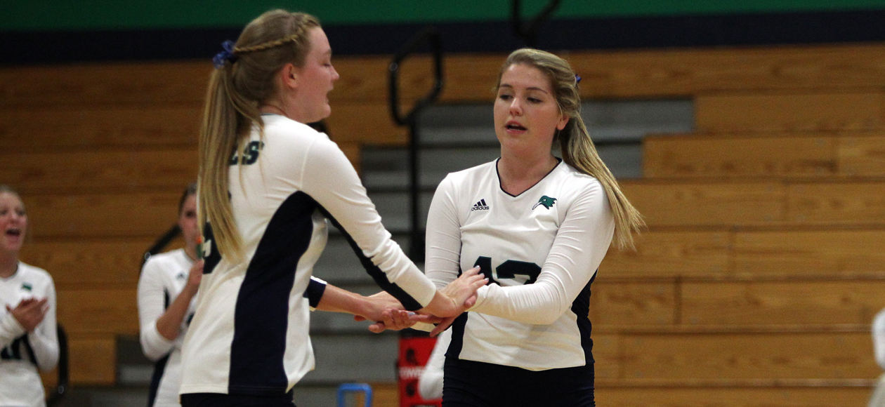 Endicott Sweeps Curry as Gulls Hit .400 For the Match