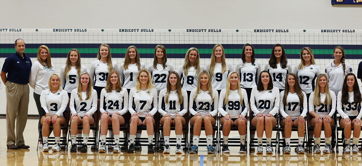 2016 women's volleyball team photo.