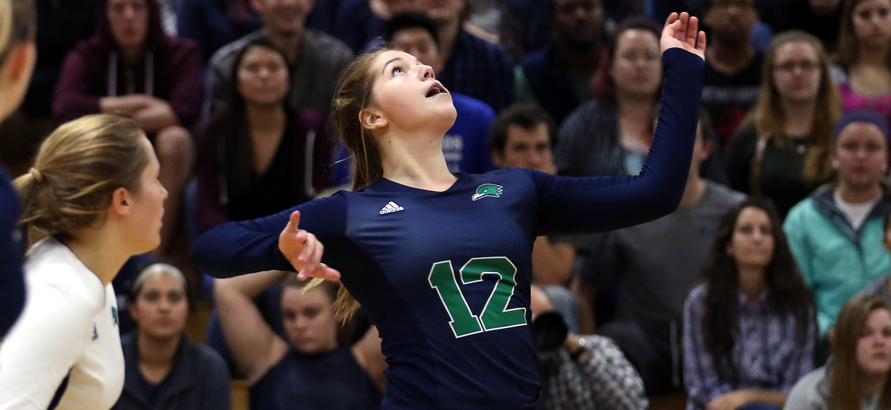 Endicott Sweeps Simmons 3-0 Behind Sheehan's Strong Night
