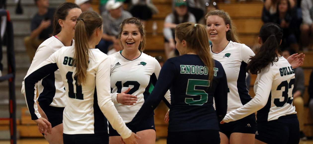 The women's volleyball team celebrates a point.
