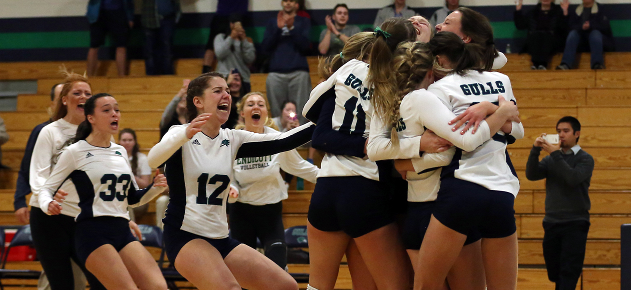 Women's volleyball team celebrates on the court.