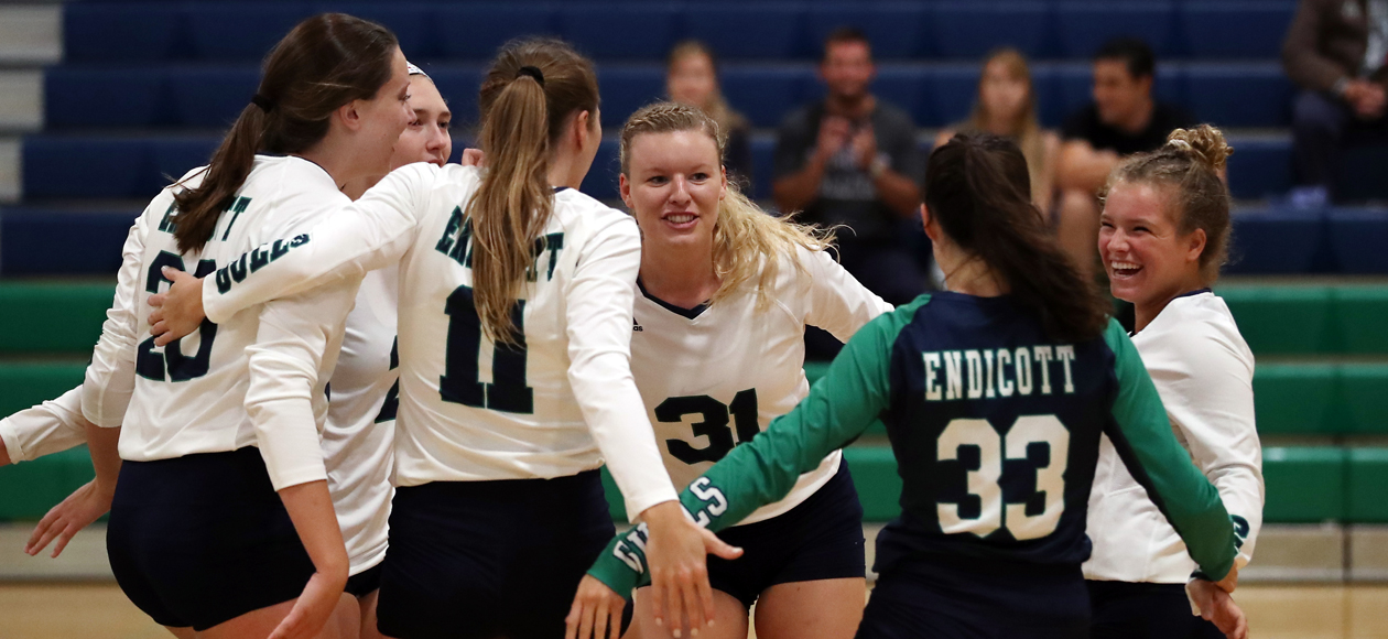 Image of the women's volleyball team celebrating a point.