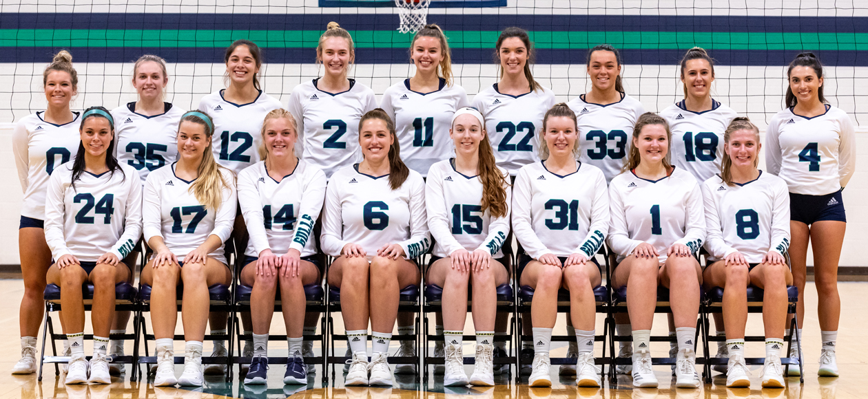 Team photo of the 2019 Endicott women's volleyball roster.