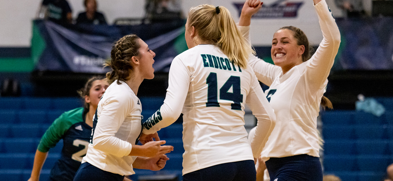 The women's volleyball team celebrates a point against Wheaton.
