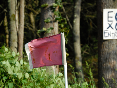 Flag that is on the cross country course