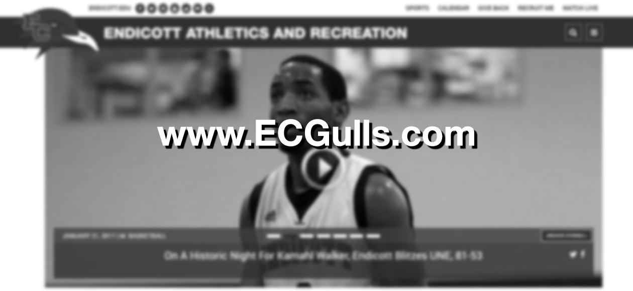 Welcome to the New ECGulls.com!