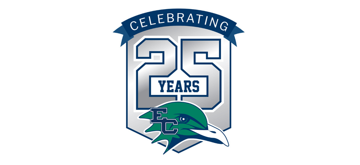 25-year anniversary logo.