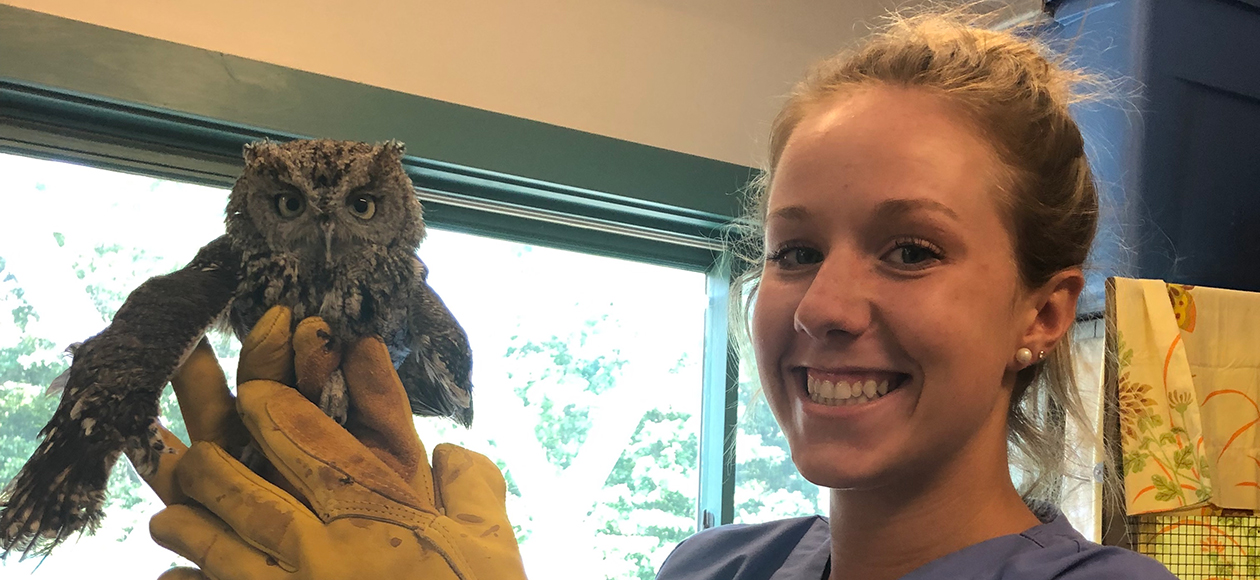 INTERNSHIP INSIGHT: Adrianna Favreau '21 - New England Wildlife Rehabilitation Center