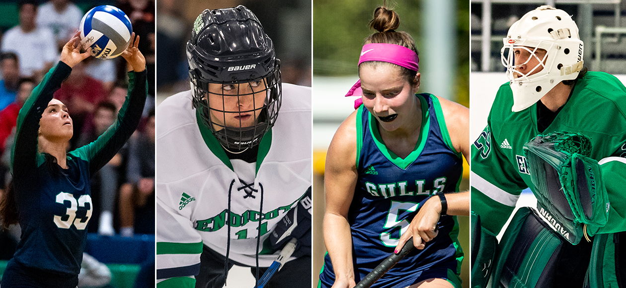 Four Gulls Named NSCA All-Americans