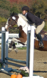 Endicott captures third place finish at Wellesley Horse Show