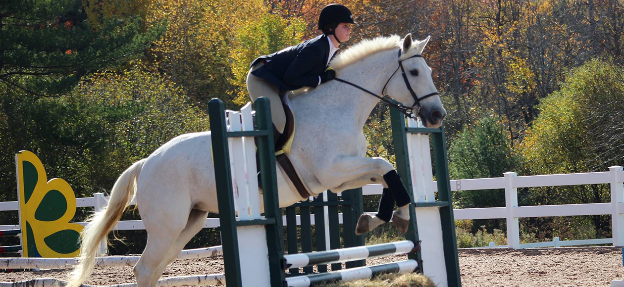 An equestrian rider gets her horse to jump over a fence.
