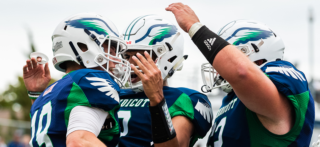 Endicott Stays Put At No. 3 In Latest Grinold Chapter New England Division III Football Weekly Rankings