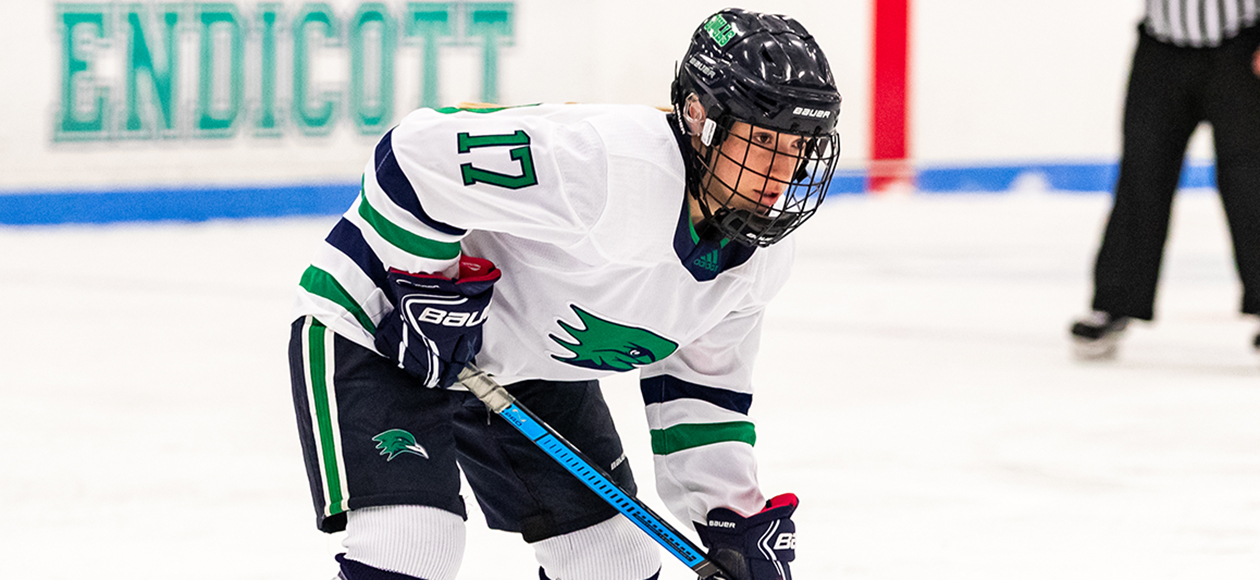 No. 9 Endicott Comes From Behind To Top UNE, 2-1