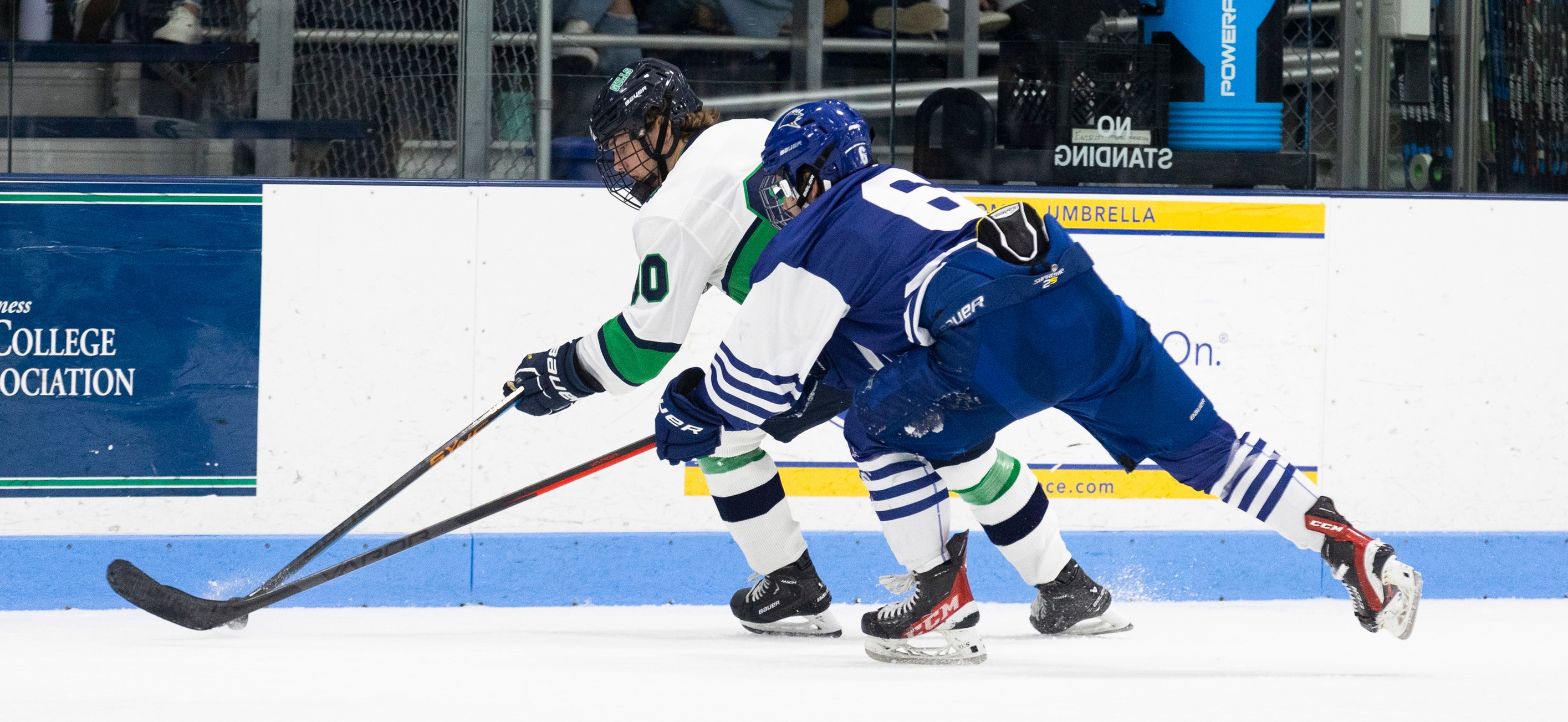 No. 4 Endicott, No. 11 UNE Skate To 2-2 Tie (OT); Nor’easters Take Point In Shootout