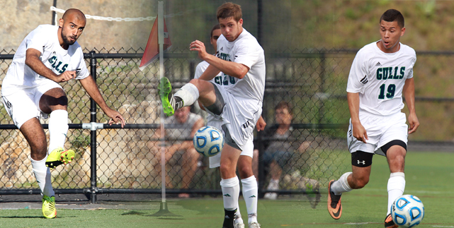 Three Gulls Earn All-CCC Honors for 2013