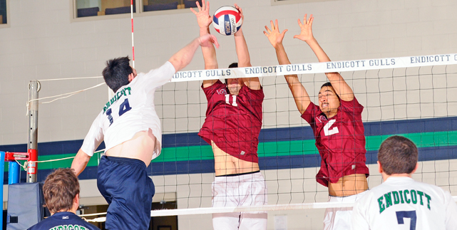 Gulls improve to 13-9 with straight set win over New Haven