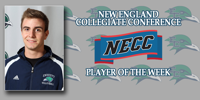 NECC Player of the Week Netherton keeps Endicott undefeated in-conference