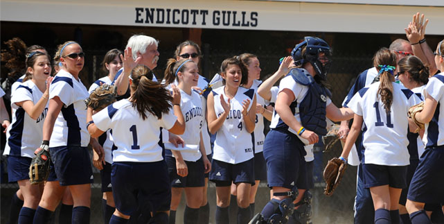Gulls face-off with Brandeis in NCAA Tournament