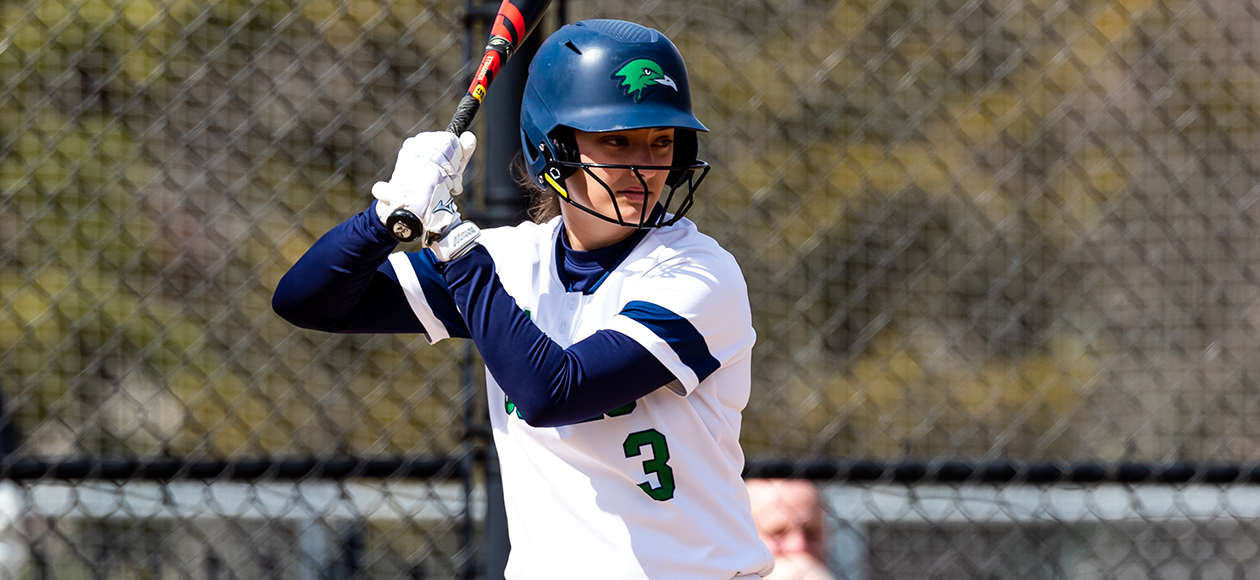 Softball Splits With Western New England On The Road