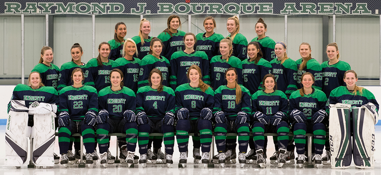 2018-19 Endicott women's ice hockey team.