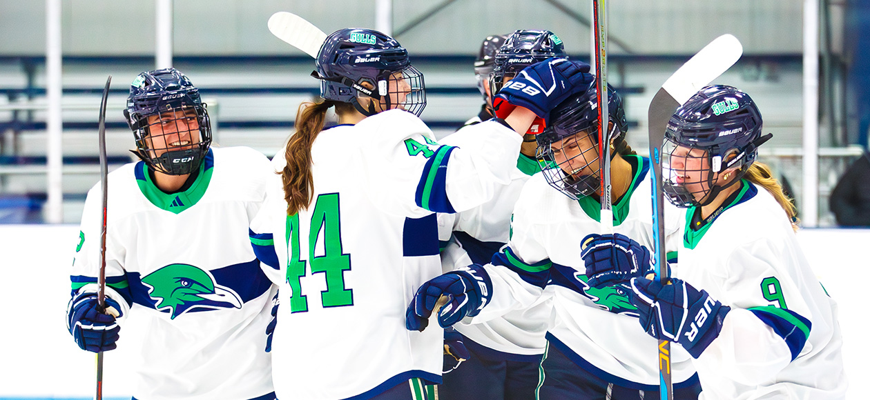 No. 15 Endicott Doubles Up Wesleyan, 4-2