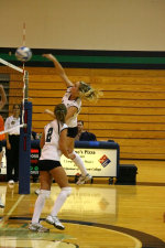 Endicott drops two on second day of Wash U invitational