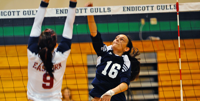 Endicott forces five against Williams; beats Colby 3-1 at MIT Invitational