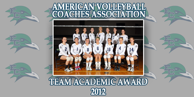 Women's Volleyball Honored with AVCA Team Academic Award