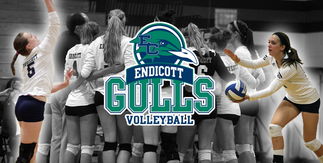 Women's Volleyball Announces Captains for the 2013 Season