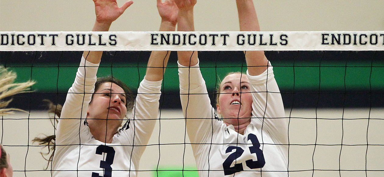 Endicott Edge Emerson in Non-Conference Matchup; VandeMerkt with 40 Assists