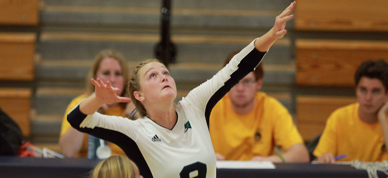 Endicott Defeats Bates 3-0, Loses to Bowdoin 3-2 on Day One of MIT Invitational