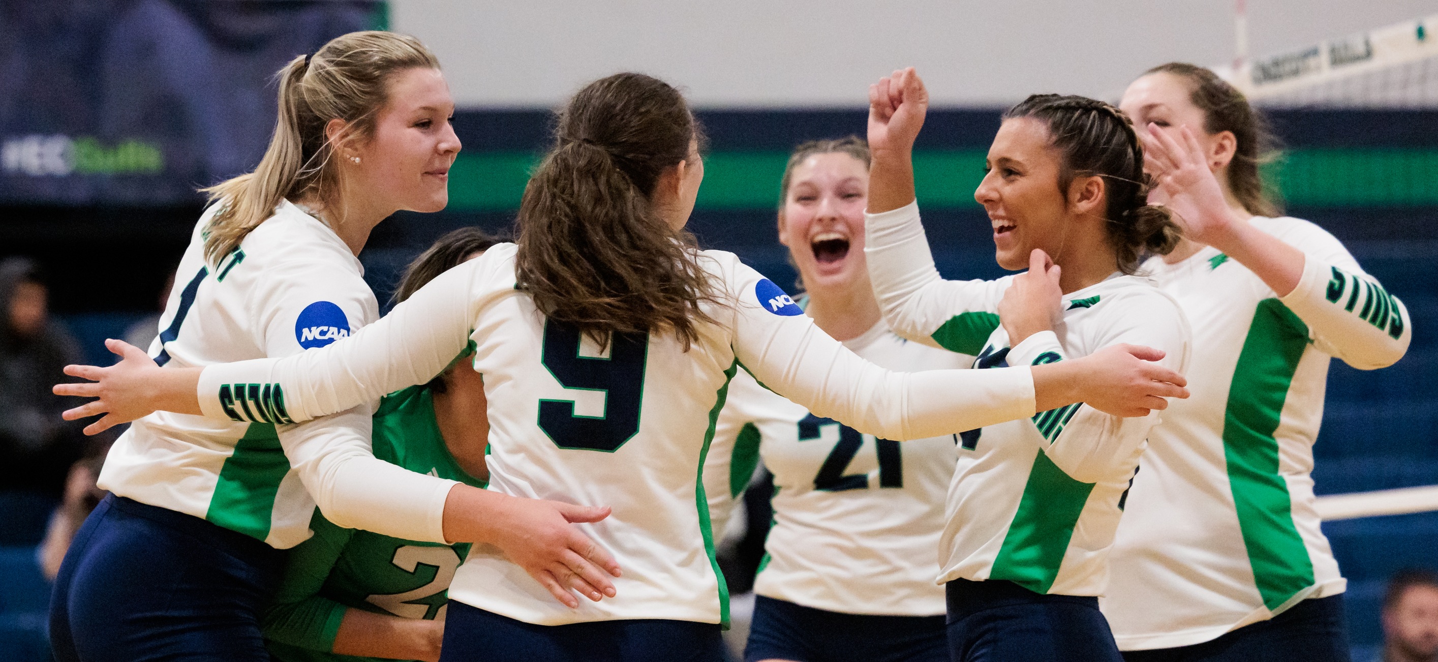 The women's volleyball team celebrates a pivotal point during the CCC semifinal match against WNE.