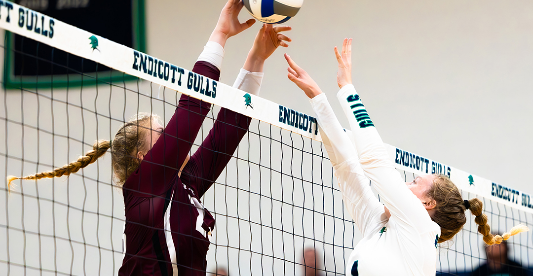 Women's Volleyball Falls To Springfield, 3-0