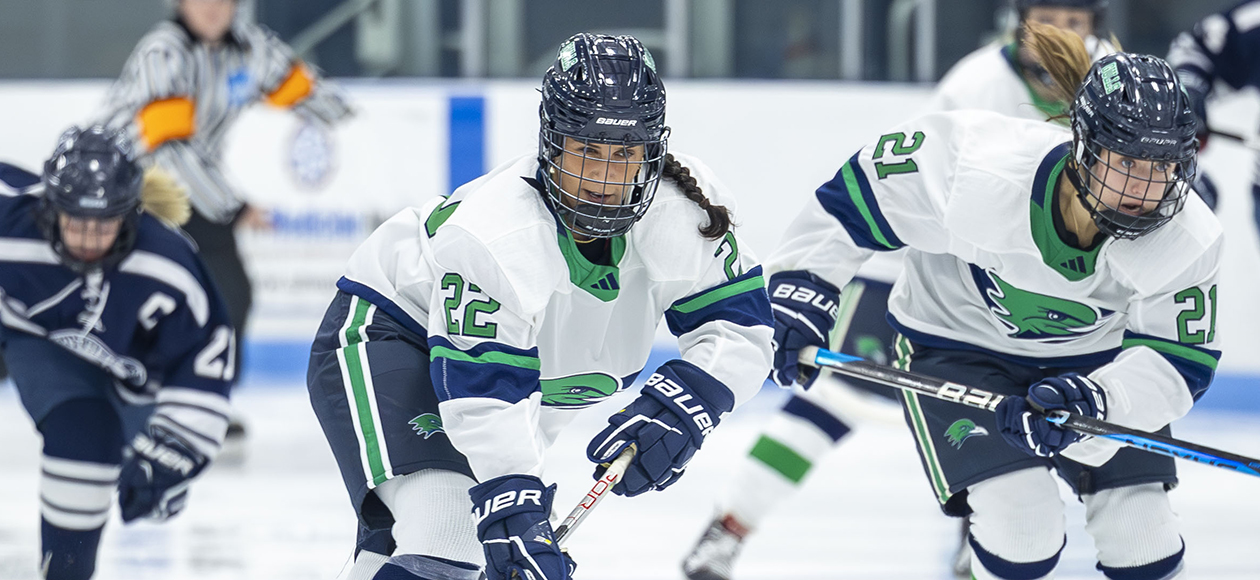 Western New England Shuts Out No. 15 Women's Ice Hockey, 1-0 (OT)